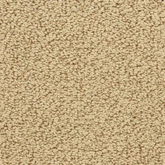 Masland Carpets Marina Del Mar Scenery Masland