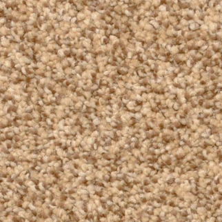 Dixie Home Delight Monarch