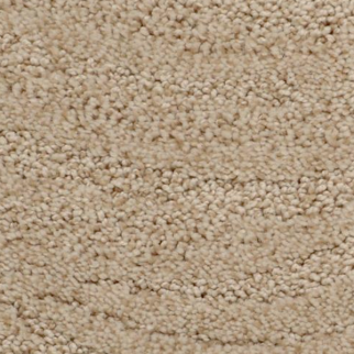 Dixie Home Taittinger Falcon