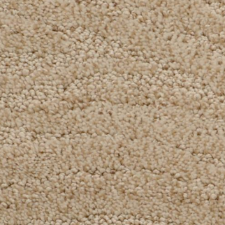 Dixie Home Taittinger Serengeti