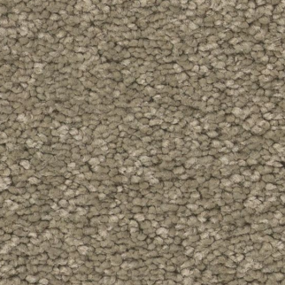 Tuftex Elegant Beauty Slate SHAW