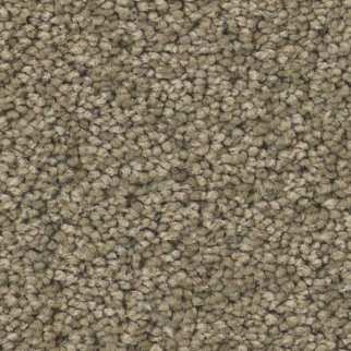 Tuftex Enchanting Slate SHAW