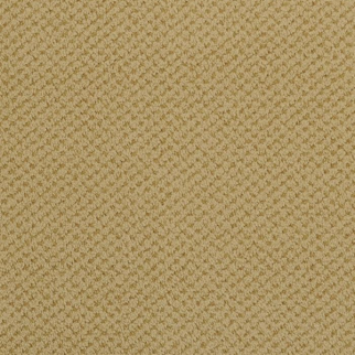 Masland Carpets Seurat Honey Masland