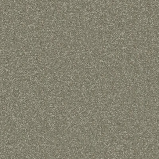 Shaw Floors Awaken Spirit II 12' Silver Sage SHAW