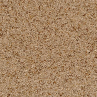 Dixie Home Chromatic Touch Sandstone
