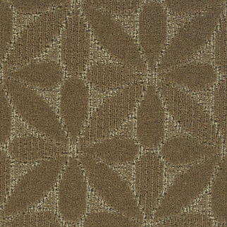 Northwest Nova Luminous Cloud