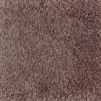 Mohawk Carpet Homefront I Flora Mohawk