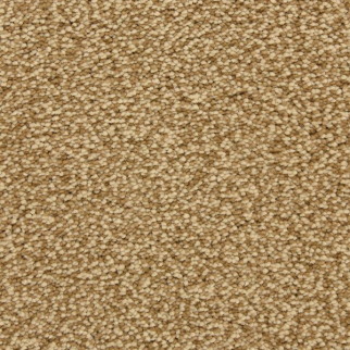 Masland Carpets Staccato Allegro Masland