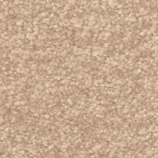 Dixie Home Inspiring Grounded