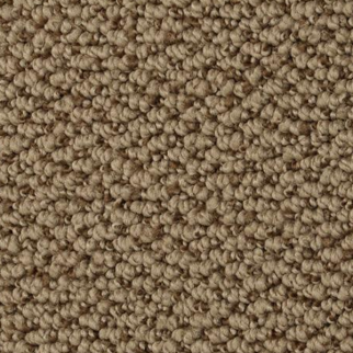 Dixie Home Authentic Living Bison