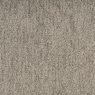 Masland Carpets Mesa Bella Vision Masland