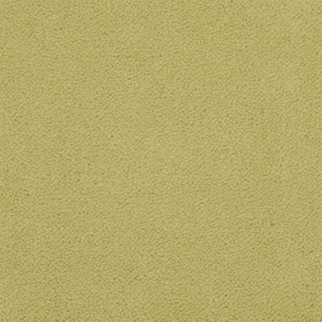 Masland Carpets Panache Pistachio Masland