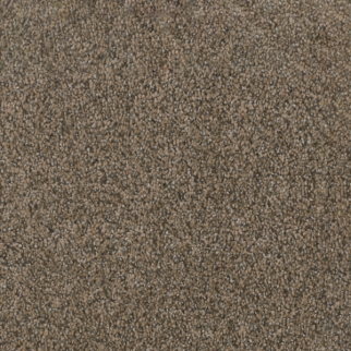 Dreamweaver Carpet Trendsetter I Smokey Taupe DREAMWEAVER