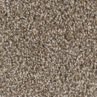 Dreamweaver Carpet West Brow Toasted Chestnut DREAMWEAVER
