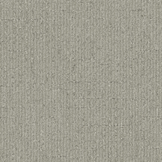 Tarkett Home Carpets Pleasantries Cashmere LEXMARK