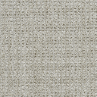 DW Select Carpet Dublin II Tweel DREAMWEAVER