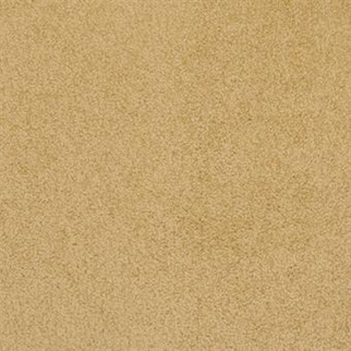 Masland Carpets Americana Pier Masland