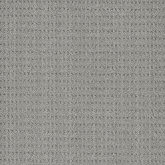 DW Select Carpet Chelsea Windhaven DREAMWEAVER