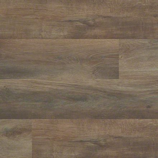 Shaw Luxury Vinyl Anvil Plus Click Highlight Oak SHAW