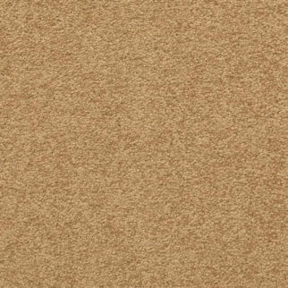 Masland Carpets Patriot Radiant Masland