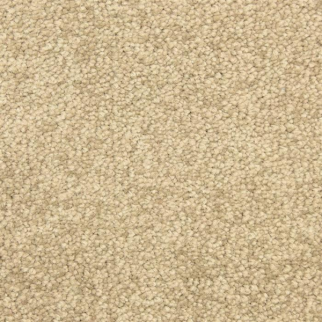 Masland Carpets Vero Beach Sedgewick Masland