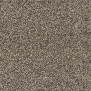 Dreamweaver Carpet Trendsetter II Trail Creek DREAMWEAVER