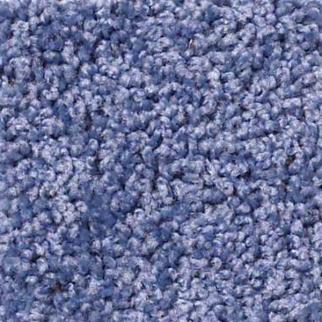 Shaw Floors All Star Weekend I 12' Castaway SHAW