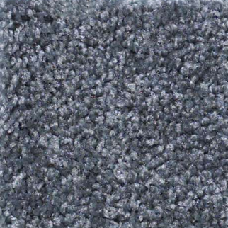 Shaw Floors Parlay North Shore SHAW