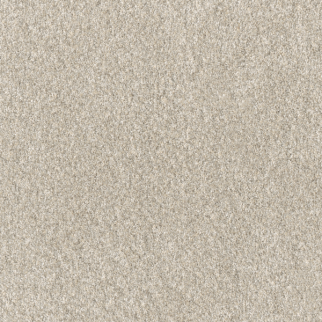 Dreamweaver Carpet Affinity I Bisque DREAMWEAVER