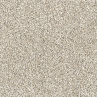 Dreamweaver Carpet Affinity III Bisque DREAMWEAVER