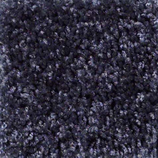 Shaw Floors Dreamin 12' Summer Night SHAW