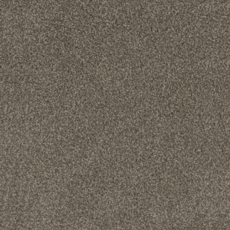 Dreamweaver Carpet Mill Creek II Lucky Penny DREAMWEAVER