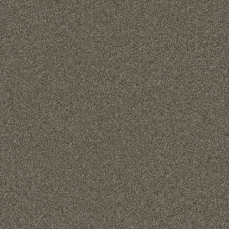 Dreamweaver Carpet Blazer I Casa Marina DREAMWEAVER