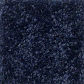 Shaw Floors Fielders Choice 12 Evening Sky SHAW