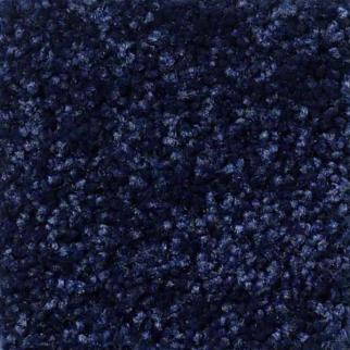 Shaw Floors Full Court 12 Evening Sky SHAW