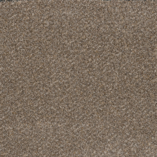 Dreamweaver Carpet Toast Of The Town Marble Heights DREAMWEAVER