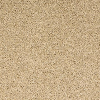 Dixie Home Spectrum The Gold