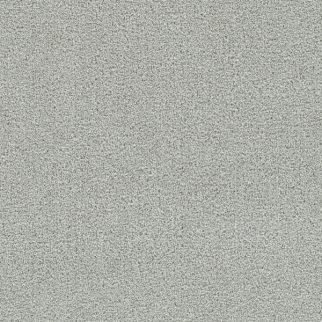 Dreamweaver Carpet Clearwater II Milestone DREAMWEAVER