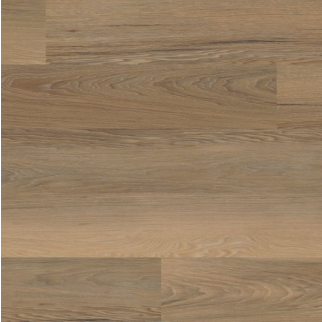 COREtec Plus COREtec ONE Plus Niland Chestnut US FLOORS, LLC