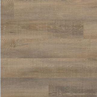 COREtec Plus COREtec ONE Plus Laguna Beach Oak US FLOORS, LLC