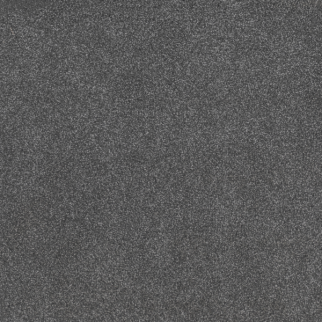 Dreamweaver Carpet Beach Club I Admiral DREAMWEAVER