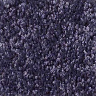 Shaw Floors All Star Weekend III 12' Denim SHAW