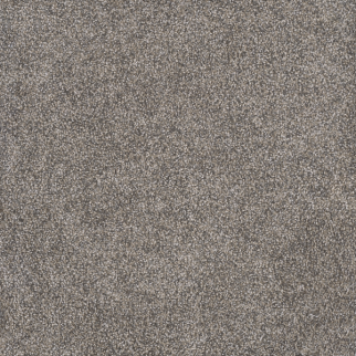 Dreamweaver Carpet Rustic Retreat I Dried Sage DREAMWEAVER