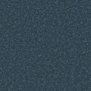 Shaw Floors Awaken Spirit II 12' Marina SHAW