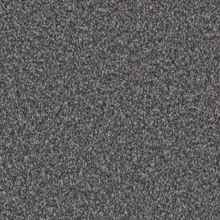 Shaw Floors Affirmation I Hypnotic SHAW