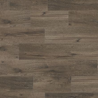 COREtec Plus COREtec Premium XL Grande Willis Oak US FLOORS, LLC
