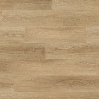 COREtec Plus COREtec Premium XL Grande Lotte Oak US FLOORS, LLC