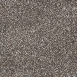 Dreamweaver Carpet Rustic Retreat I High Sierra DREAMWEAVER