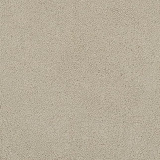 Masland Carpets Panache Avena Masland