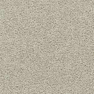 Dreamweaver Carpet Captivating I Wheat Grass DREAMWEAVER